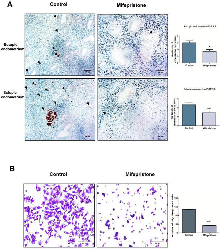 Int J Med Sci Image