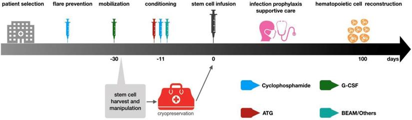 Int J Med Sci Image