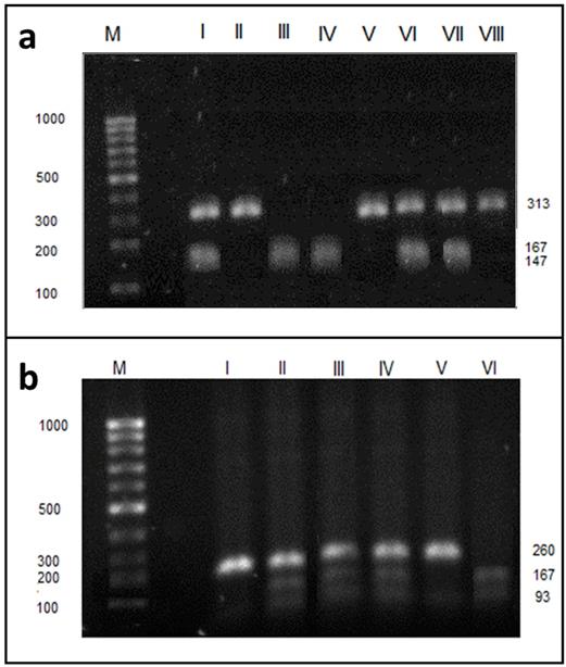 Int J Med Sci Image