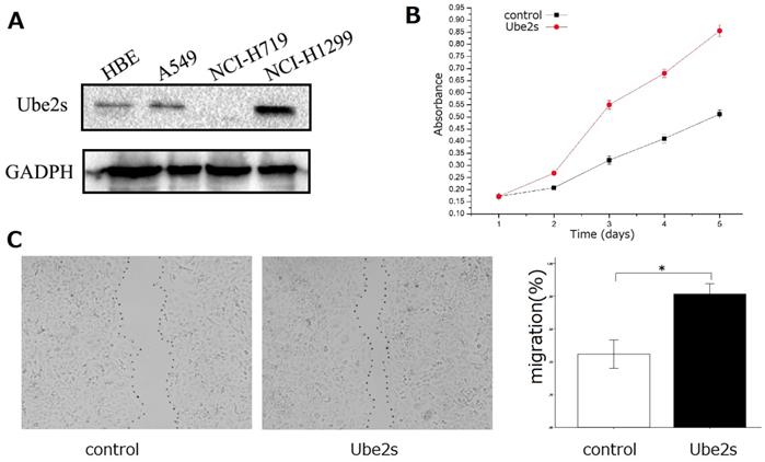 Int J Med Sci Image