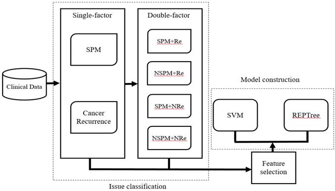 Int J Med Sci Image