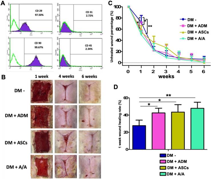 Int J Med Sci Image