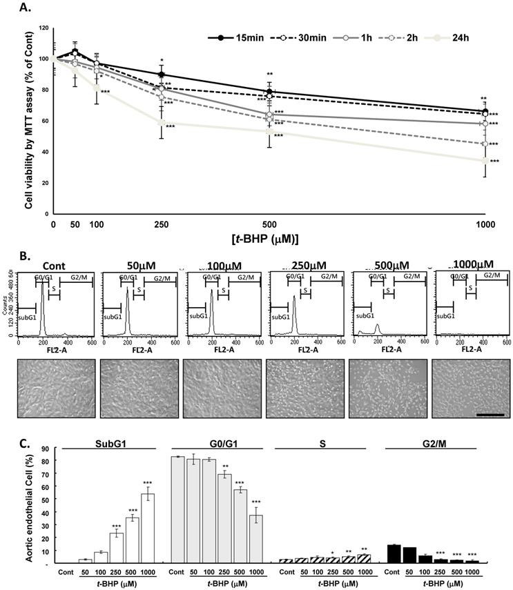 Int J Med Sci Image