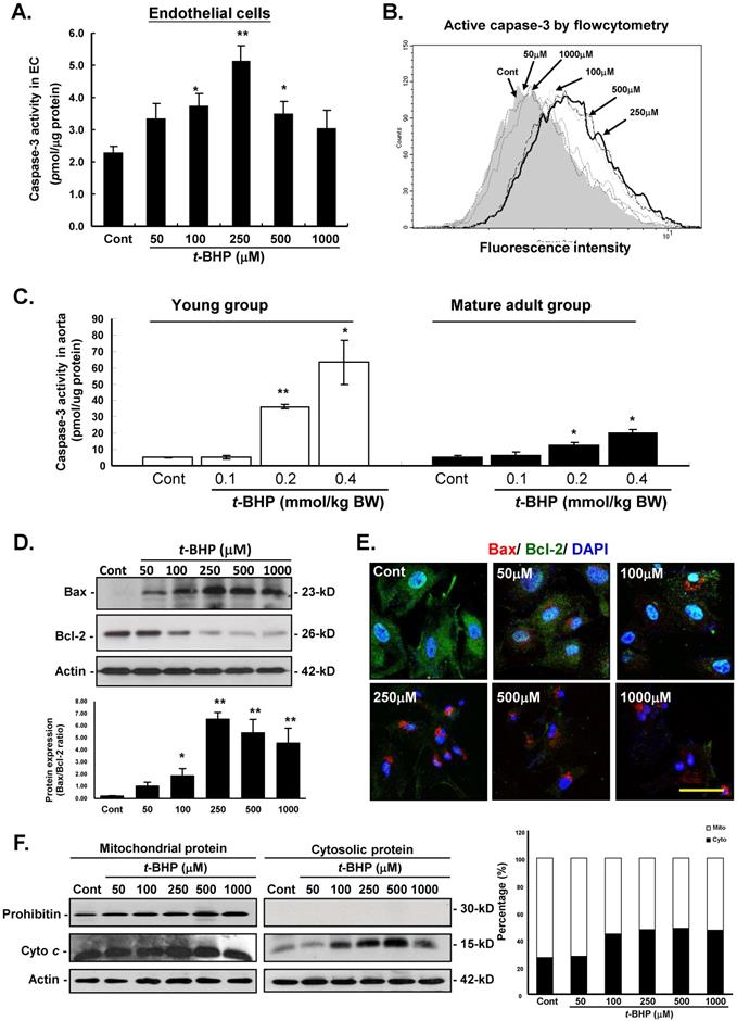 Int J Med Sci Image