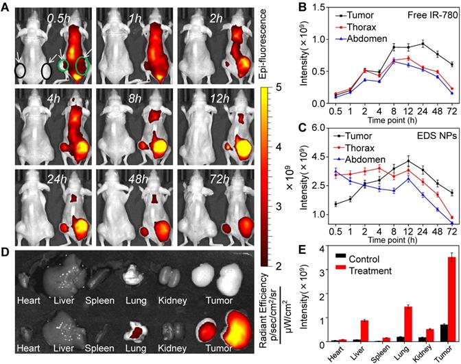 Int J Med Sci Image