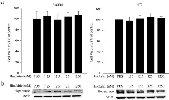 Int J Med Sci Image