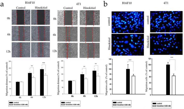 Int J Med Sci Image