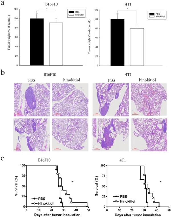 Int J Med Sci Image