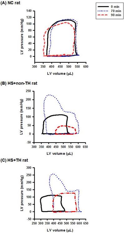 Int J Med Sci Image