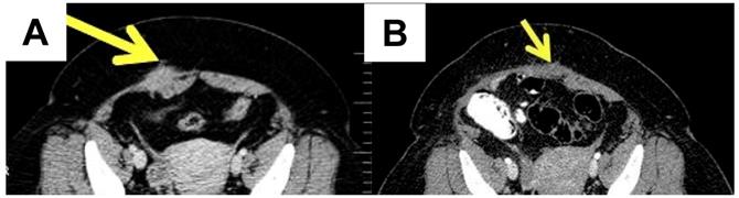 Int J Med Sci Image