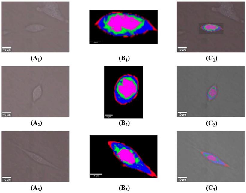 Int J Med Sci Image