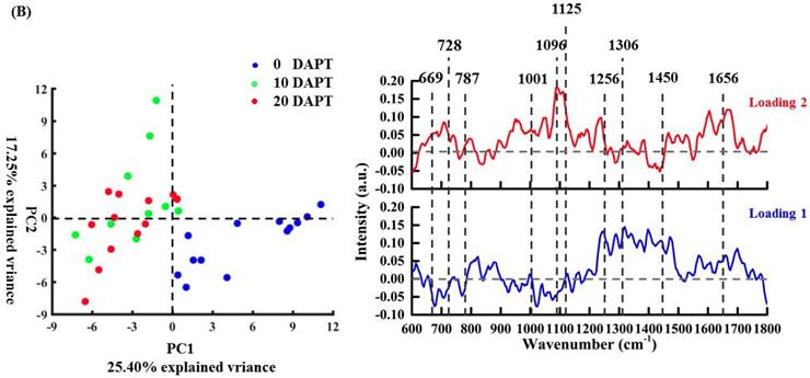 Int J Med Sci Image