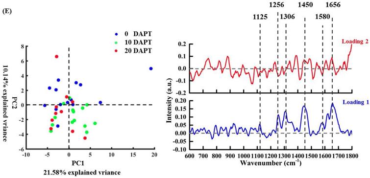 Int J Med Sci Image