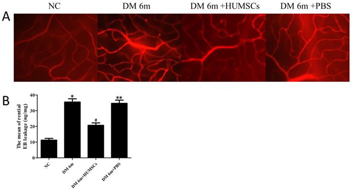 Int J Med Sci Image