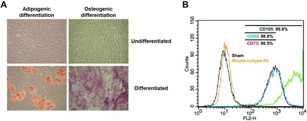 Int J Med Sci Image