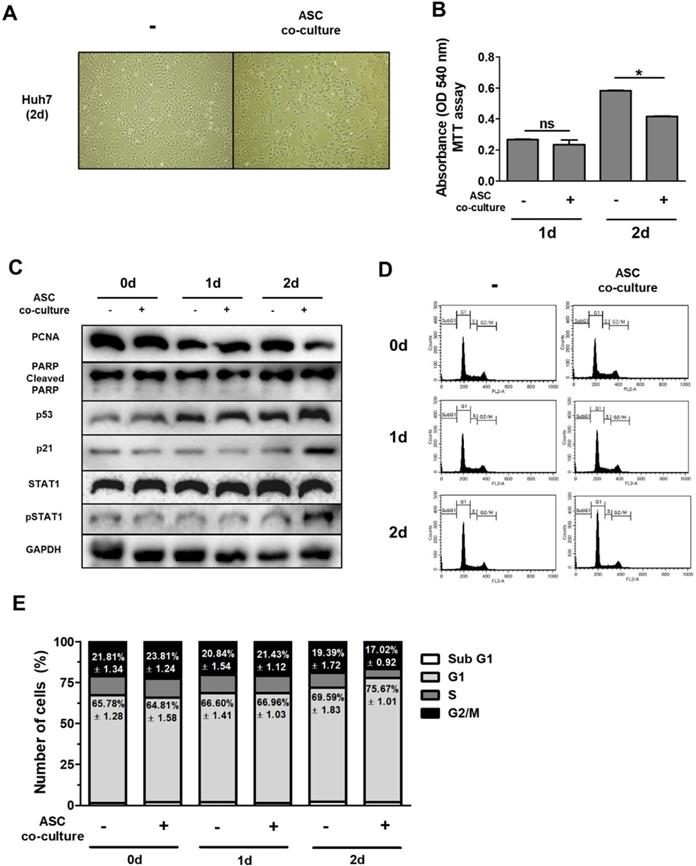 Int J Med Sci Image