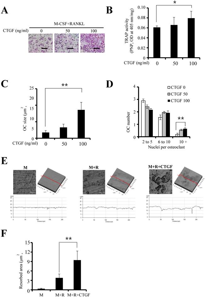 Int J Med Sci Image