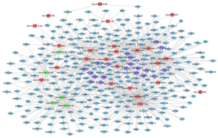 Int J Med Sci Image