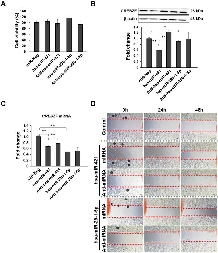 Int J Med Sci Image