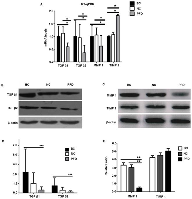 Int J Med Sci Image