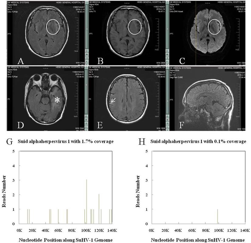 Int J Med Sci Image