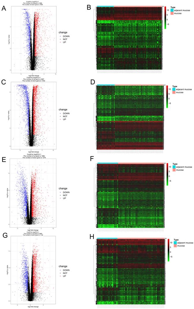 Int J Med Sci Image