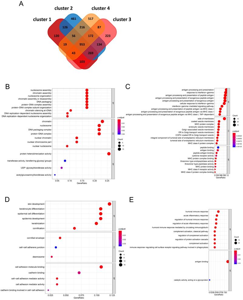 Int J Med Sci Image