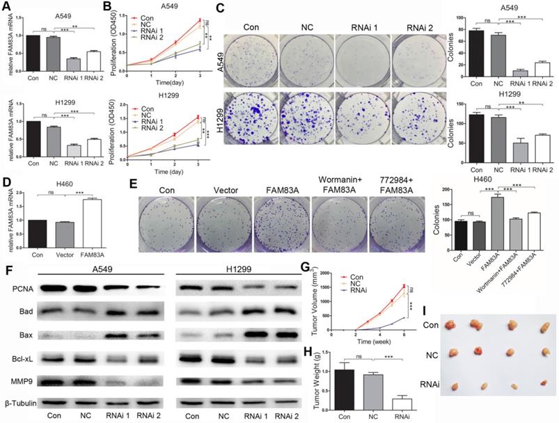 Int J Med Sci Image