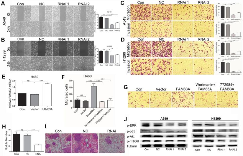 Int J Med Sci Image