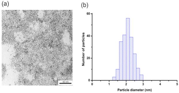 Int J Med Sci Image