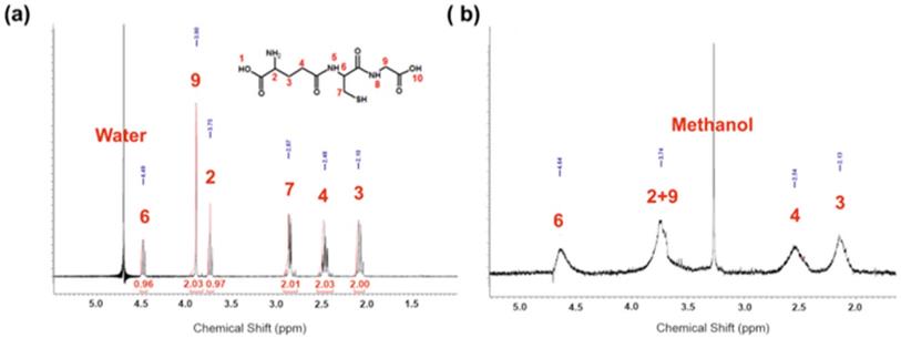 Int J Med Sci Image