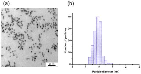 Int J Med Sci Image