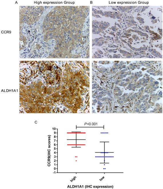 Int J Med Sci Image