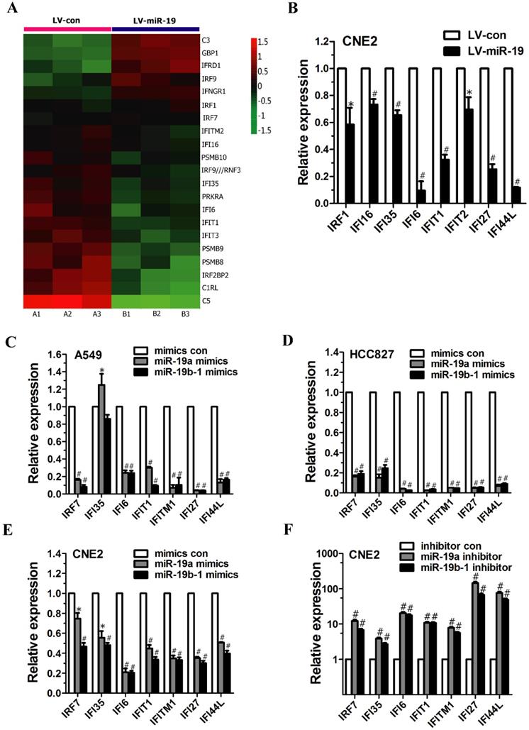 Int J Med Sci Image