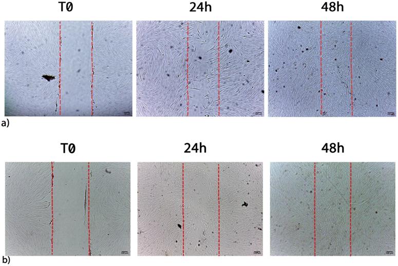 Int J Med Sci Image