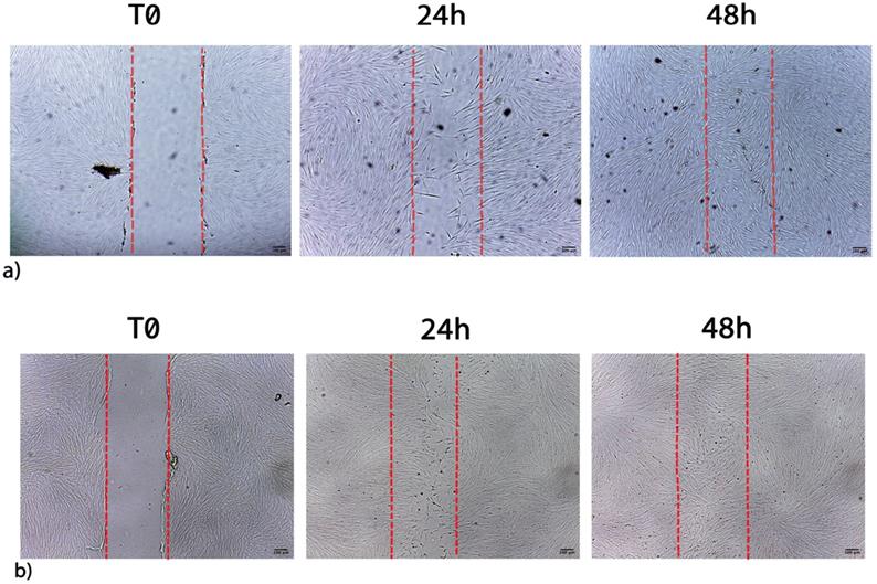 Int J Med Sci Image