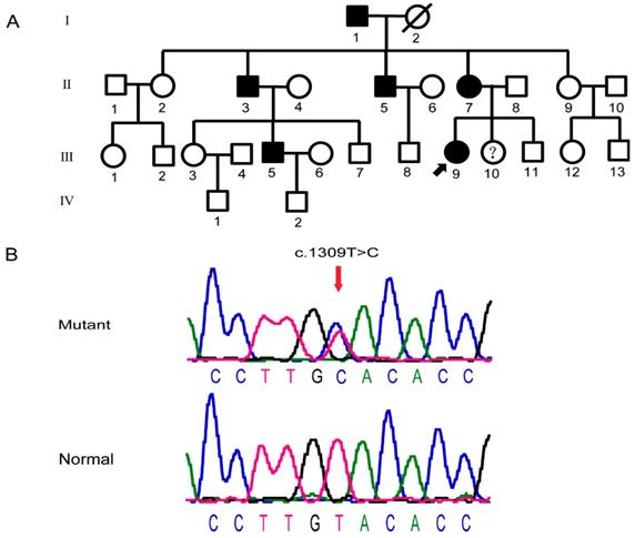 Int J Med Sci Image