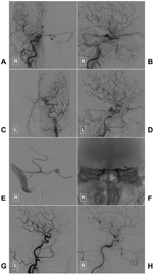 Int J Med Sci Image