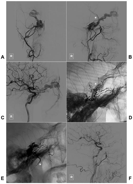 Int J Med Sci Image