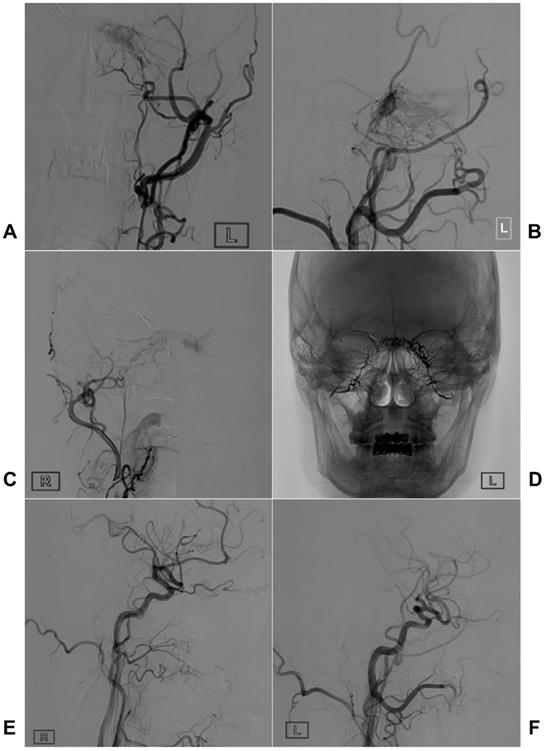 Int J Med Sci Image