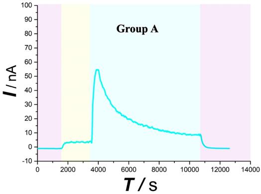 Int J Med Sci Image