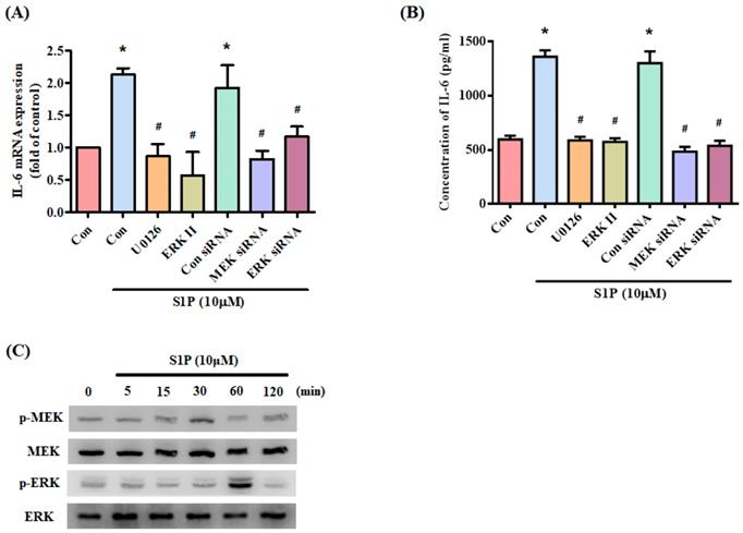 Int J Med Sci Image