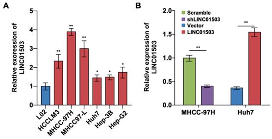 Int J Med Sci Image