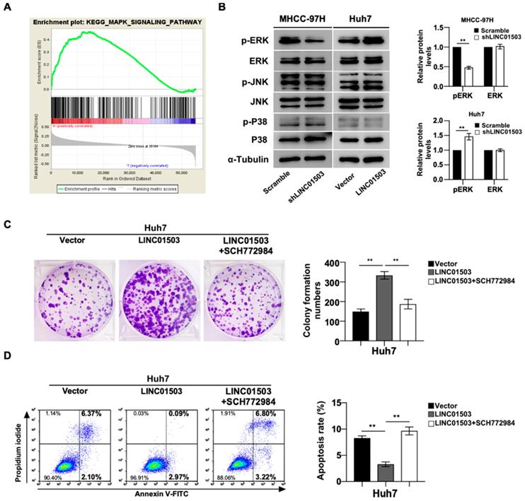 Int J Med Sci Image