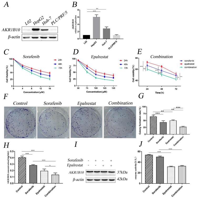 Int J Med Sci Image