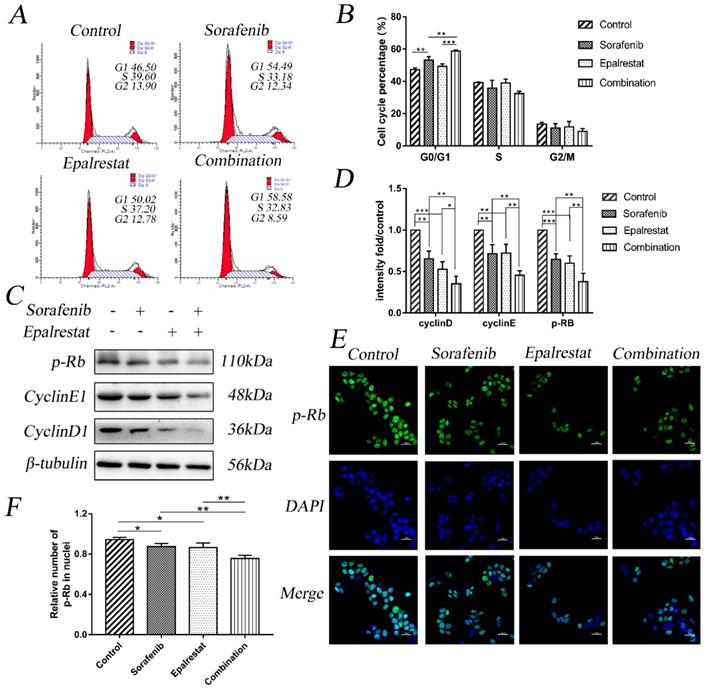 Int J Med Sci Image