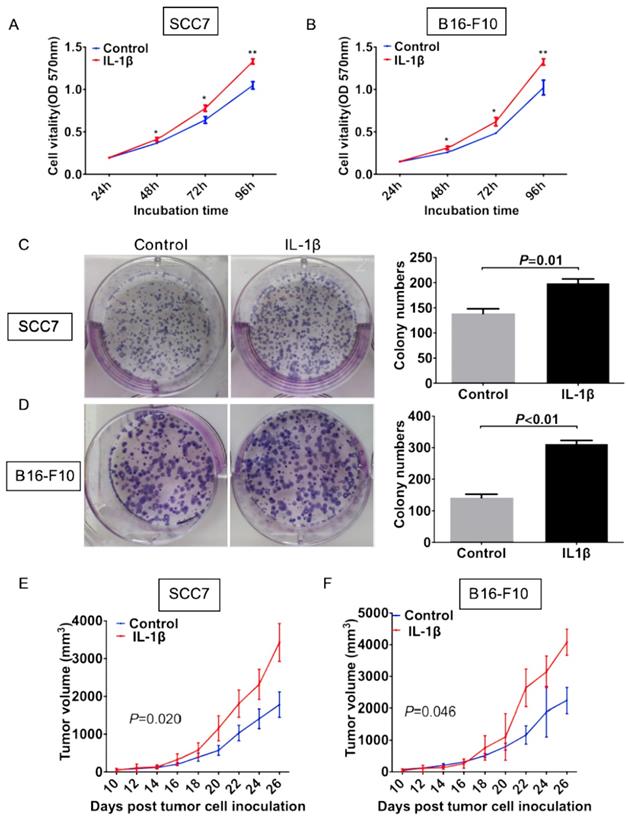 Int J Med Sci Image