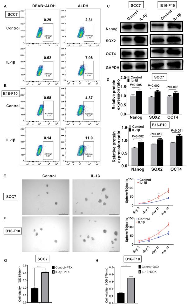 Int J Med Sci Image