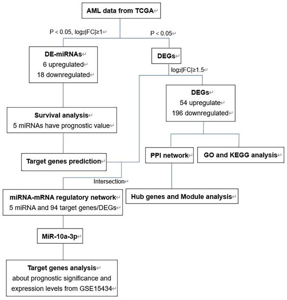 Int J Med Sci Image