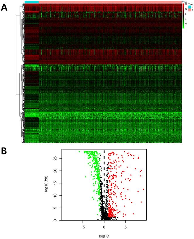 Int J Med Sci Image